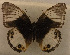  ( - USNM ENT 00643561)  @13 [ ] Unspecified (default): All Rights Reserved  Unspecified Unspecified