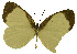  ( - USNM ENT 00645956)  @14 [ ] Unspecified (default): All Rights Reserved  Unspecified Unspecified