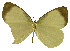  ( - USNM ENT 00645956)  @14 [ ] Unspecified (default): All Rights Reserved  Unspecified Unspecified
