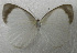  ( - USNM ENT 00645965)  @12 [ ] Unspecified (default): All Rights Reserved  Unspecified Unspecified
