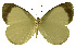  ( - USNM ENT 00645973)  @15 [ ] Unspecified (default): All Rights Reserved  Unspecified Unspecified