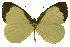  ( - USNM ENT 00646000)  @15 [ ] Unspecified (default): All Rights Reserved  Unspecified Unspecified
