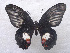  ( - USNM ENT 00646001)  @14 [ ] Unspecified (default): All Rights Reserved  Unspecified Unspecified