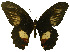  ( - USNM ENT 00646003)  @14 [ ] Unspecified (default): All Rights Reserved  Unspecified Unspecified