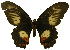  ( - USNM ENT 00646003)  @13 [ ] Unspecified (default): All Rights Reserved  Unspecified Unspecified