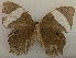  ( - USNM ENT 00649661)  @13 [ ] Unspecified (default): All Rights Reserved  Unspecified Unspecified