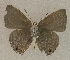  ( - USNM ENT 00705000)  @13 [ ] Unspecified (default): All Rights Reserved  Unspecified Unspecified