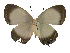  ( - USNM ENT 00705014)  @13 [ ] Unspecified (default): All Rights Reserved  Unspecified Unspecified