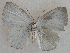  ( - USNM ENT 00705024)  @13 [ ] Unspecified (default): All Rights Reserved  Unspecified Unspecified