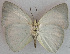  ( - USNM ENT 00705030)  @14 [ ] Unspecified (default): All Rights Reserved  Unspecified Unspecified