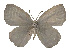  ( - USNM ENT 00705034)  @12 [ ] Unspecified (default): All Rights Reserved  Unspecified Unspecified