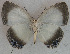  ( - USNM ENT 00705045)  @13 [ ] Unspecified (default): All Rights Reserved  Unspecified Unspecified