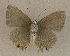  ( - USNM ENT 00705058)  @13 [ ] Unspecified (default): All Rights Reserved  Unspecified Unspecified