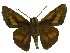  ( - USNM ENT 00705064)  @13 [ ] Unspecified (default): All Rights Reserved  Unspecified Unspecified