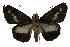  ( - USNM ENT 00705075)  @12 [ ] Unspecified (default): All Rights Reserved  Unspecified Unspecified