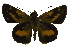  ( - USNM ENT 00705090)  @12 [ ] Unspecified (default): All Rights Reserved  Unspecified Unspecified