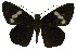  ( - USNM ENT 00705091)  @13 [ ] Unspecified (default): All Rights Reserved  Unspecified Unspecified