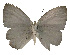  ( - USNM ENT 00705096)  @12 [ ] Unspecified (default): All Rights Reserved  Unspecified Unspecified