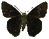  ( - USNM ENT 00705124)  @12 [ ] Unspecified (default): All Rights Reserved  Unspecified Unspecified