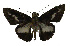  ( - USNM ENT 00705127)  @12 [ ] Unspecified (default): All Rights Reserved  Unspecified Unspecified
