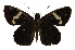  ( - USNM ENT 00705128)  @14 [ ] Unspecified (default): All Rights Reserved  Unspecified Unspecified