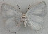  ( - USNM ENT 00705156)  @13 [ ] Unspecified (default): All Rights Reserved  Unspecified Unspecified