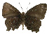  ( - USNM ENT 00705165)  @13 [ ] Unspecified (default): All Rights Reserved  Unspecified Unspecified