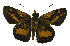 ( - USNM ENT 00705189)  @13 [ ] Unspecified (default): All Rights Reserved  Unspecified Unspecified