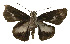  ( - USNM ENT 00705219)  @13 [ ] Unspecified (default): All Rights Reserved  Unspecified Unspecified