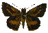  ( - USNM ENT 00705241)  @13 [ ] Unspecified (default): All Rights Reserved  Unspecified Unspecified