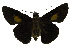  ( - USNM ENT 00705242)  @12 [ ] Unspecified (default): All Rights Reserved  Unspecified Unspecified