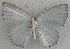  ( - USNM ENT 00705255)  @13 [ ] Unspecified (default): All Rights Reserved  Unspecified Unspecified