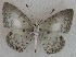  ( - USNM ENT 00711007)  @13 [ ] Unspecified (default): All Rights Reserved  Unspecified Unspecified