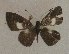  ( - USNM ENT 00711011)  @12 [ ] Unspecified (default): All Rights Reserved  Unspecified Unspecified