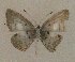  ( - USNM ENT 00711035)  @12 [ ] Unspecified (default): All Rights Reserved  Unspecified Unspecified