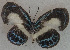  ( - USNM ENT 00711052)  @13 [ ] Unspecified (default): All Rights Reserved  Unspecified Unspecified