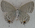  ( - USNM ENT 00711061)  @13 [ ] Unspecified (default): All Rights Reserved  Unspecified Unspecified