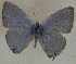  ( - USNM ENT 00711077)  @14 [ ] Unspecified (default): All Rights Reserved  Unspecified Unspecified