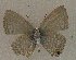  ( - USNM ENT 00711078)  @13 [ ] Unspecified (default): All Rights Reserved  Unspecified Unspecified