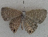  ( - USNM ENT 00711120)  @13 [ ] Unspecified (default): All Rights Reserved  Unspecified Unspecified