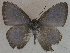  ( - USNM ENT 00711122)  @13 [ ] Unspecified (default): All Rights Reserved  Unspecified Unspecified