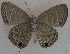  ( - USNM ENT 00711128)  @13 [ ] Unspecified (default): All Rights Reserved  Unspecified Unspecified