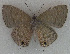  ( - USNM ENT 00711129)  @13 [ ] Unspecified (default): All Rights Reserved  Unspecified Unspecified