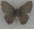  ( - USNM ENT 00711132)  @13 [ ] Unspecified (default): All Rights Reserved  Unspecified Unspecified
