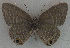  ( - USNM ENT 00711134)  @13 [ ] Unspecified (default): All Rights Reserved  Unspecified Unspecified