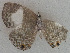  ( - USNM ENT 00711135)  @12 [ ] Unspecified (default): All Rights Reserved  Unspecified Unspecified