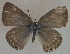  ( - USNM ENT 00711136)  @13 [ ] Unspecified (default): All Rights Reserved  Unspecified Unspecified