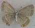 ( - USNM ENT 00711136)  @13 [ ] Unspecified (default): All Rights Reserved  Unspecified Unspecified