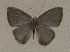  ( - USNM ENT 00711144)  @13 [ ] Unspecified (default): All Rights Reserved  Unspecified Unspecified