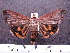  ( - MMZ0011)  @13 [ ] Copyright (2010) Unspecified Universidade Federal do Parana